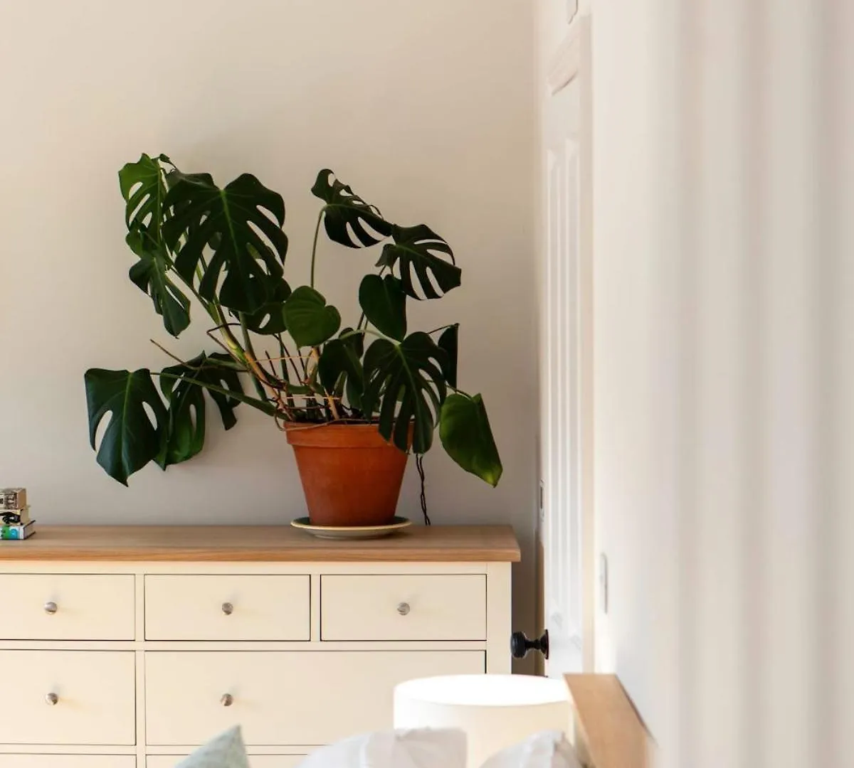 Bright Open Plan Living - Bath - Free Parking Apartment